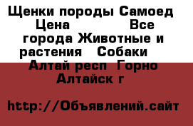 Щенки породы Самоед › Цена ­ 20 000 - Все города Животные и растения » Собаки   . Алтай респ.,Горно-Алтайск г.